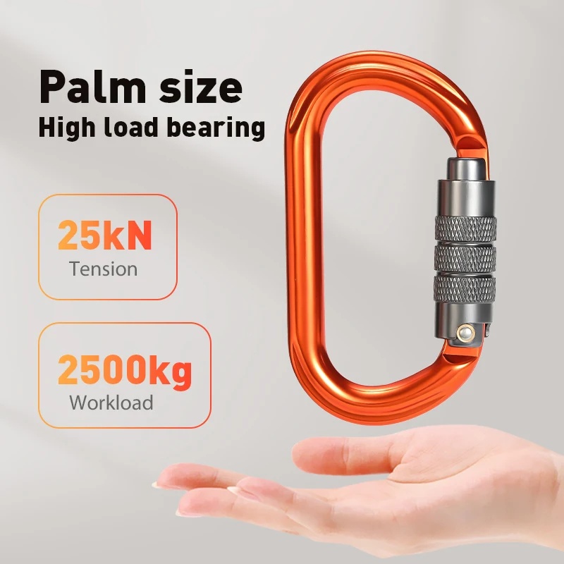 Mousqueton à visser en forme d - Carabiner Locking D avis et prix