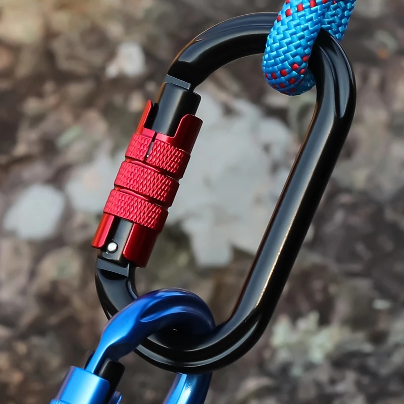 Mousqueton à visser en forme d - Carabiner Locking D avis et prix