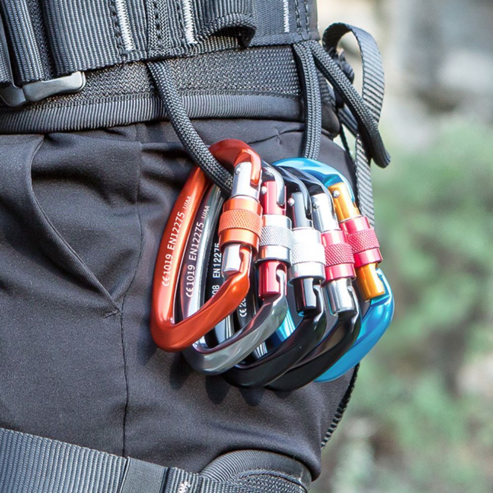Mousqueton d'escalade en forme - Carabiner Locking D avis et prix