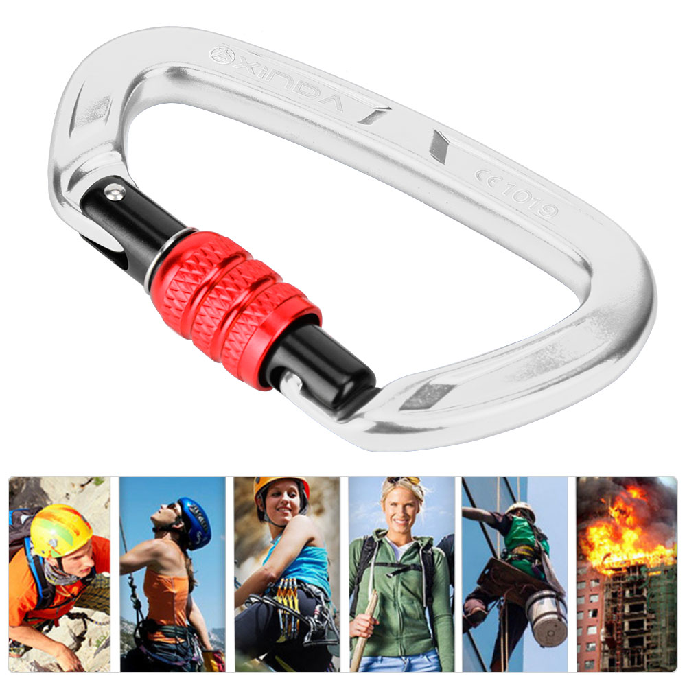 Mousqueton de blocage en allia - Carabiner Locking D avis et prix