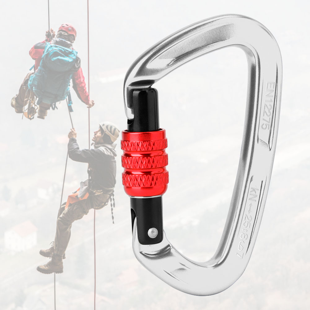 Mousqueton de blocage en allia - Carabiner Locking D avis et prix